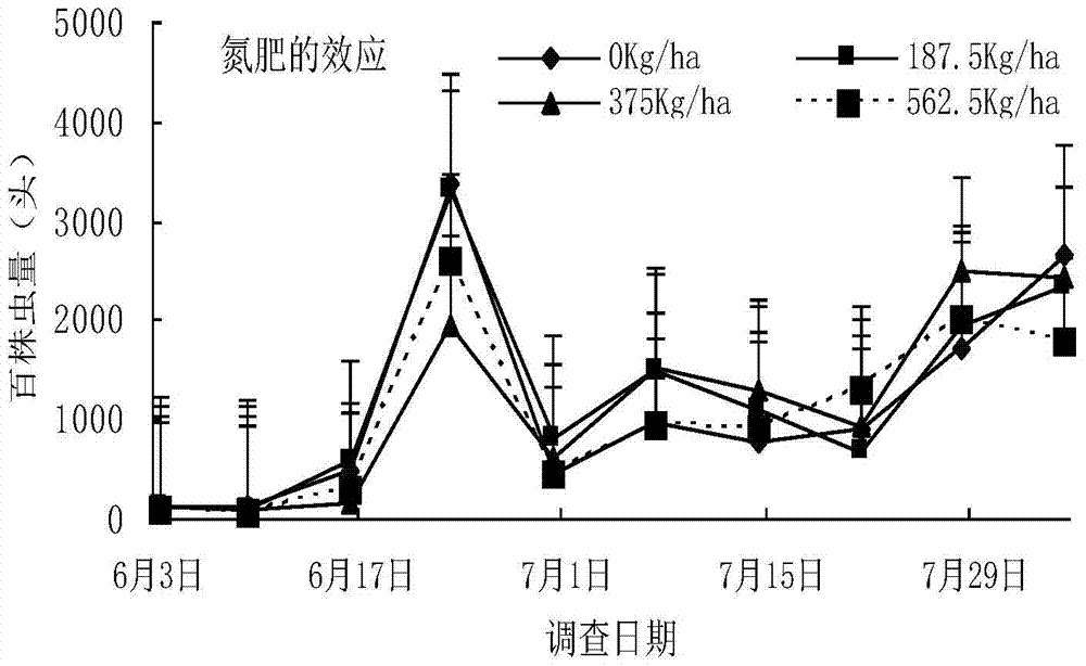 A cultivation method for improving the resistance of purple-flowered white potato to potato beetle