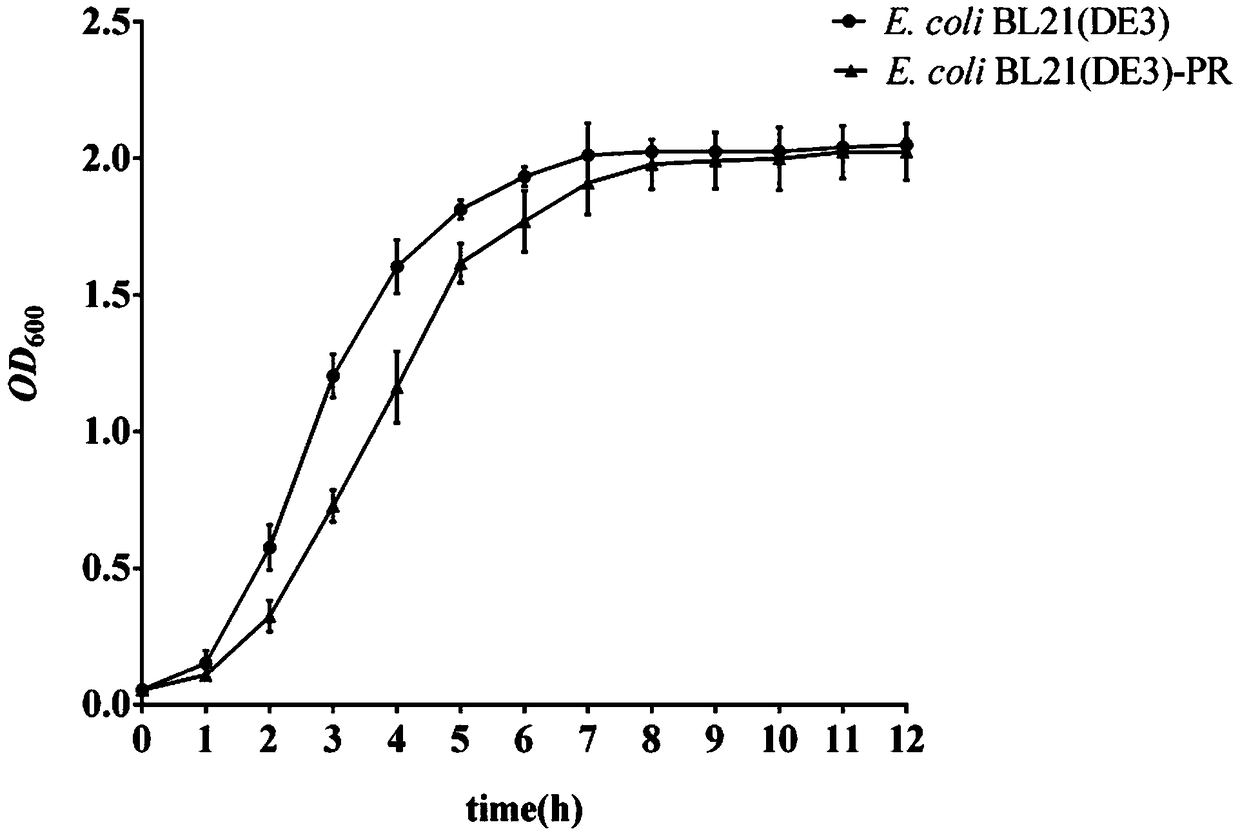 Broad-spectrum antiphage escherichia coli BL21(DE3)-PR and application thereof