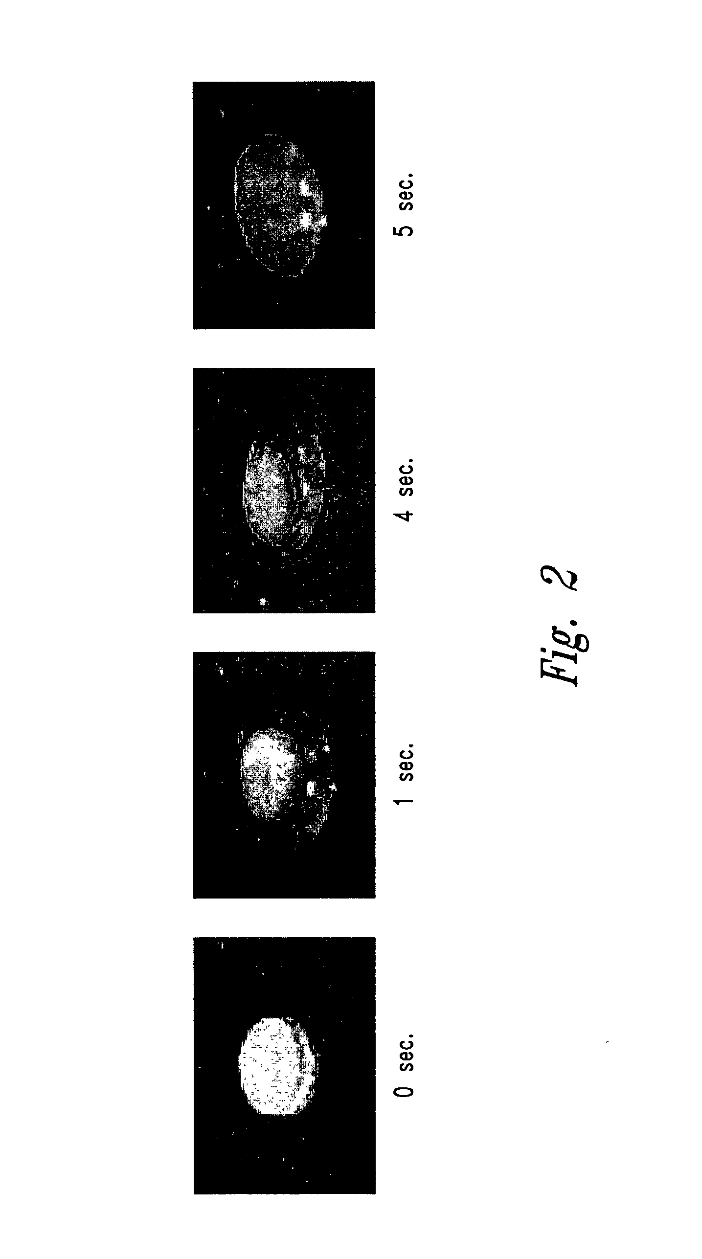 Dosage form exhibiting rapid disperse properties, methods of use and process for the manufacture of same