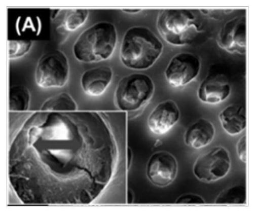 Composite materials and their preparation methods and applications