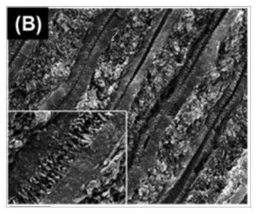 Composite materials and their preparation methods and applications