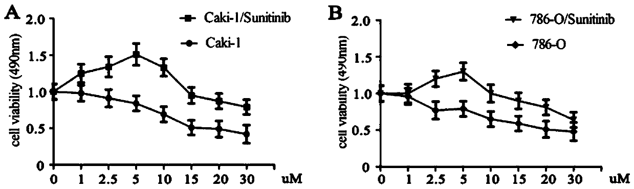 Application of pinin (PNN) inhibitor to preparation of drug for reversing drug resistance of transferable renal carcinoma cells to sunitinib