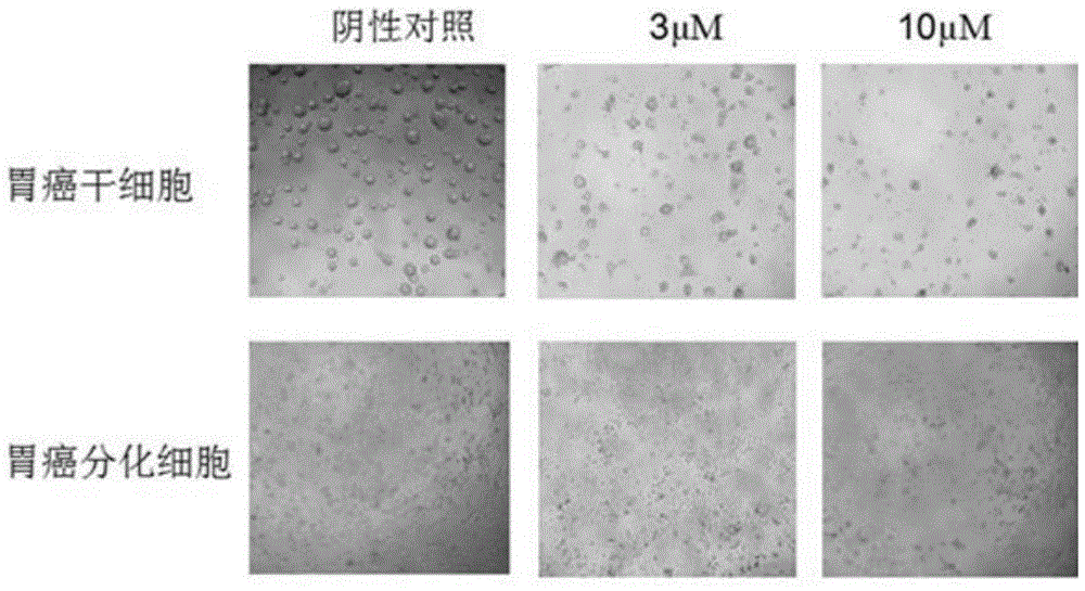 Pyridone derivative, preparation method and application thereof