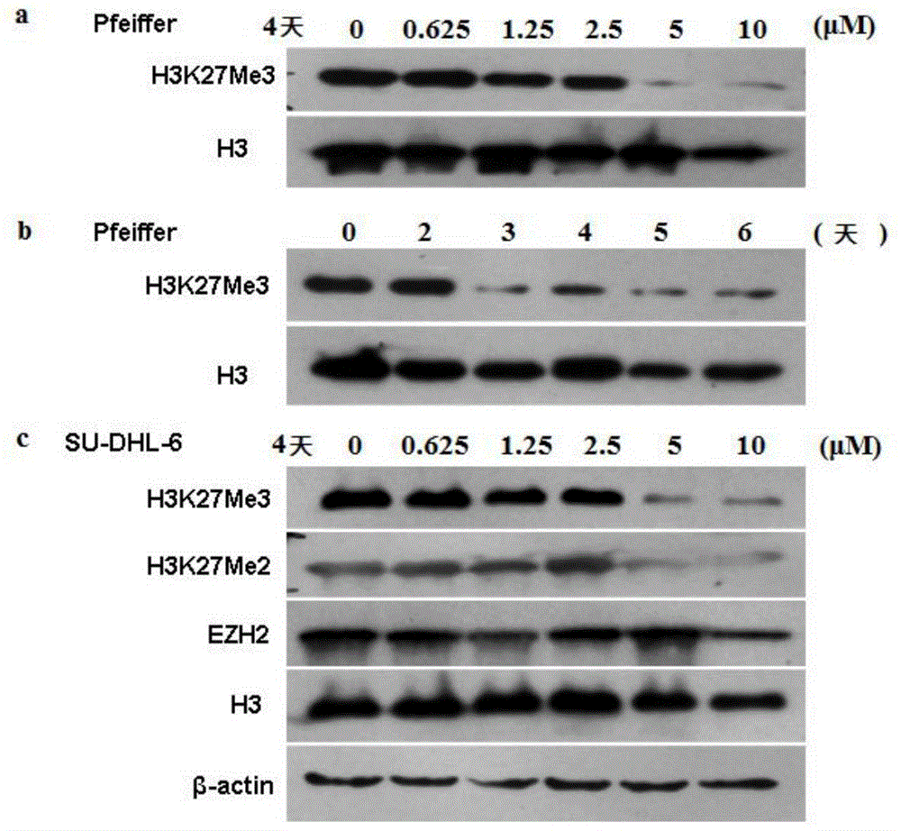 Pyridone derivative, preparation method and application thereof