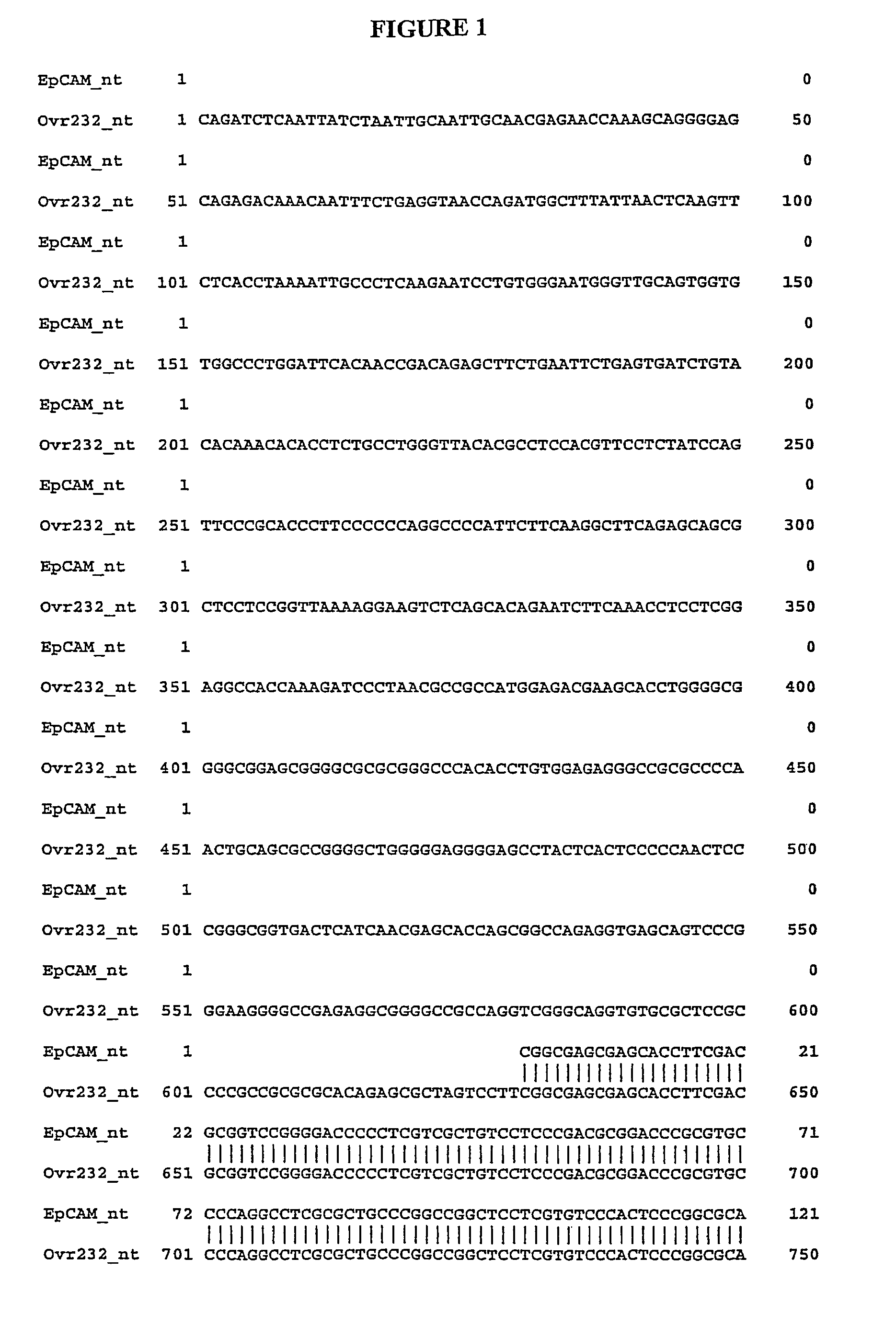 Compositions, splice variants and methods relating to ovarian specific genes and proteins