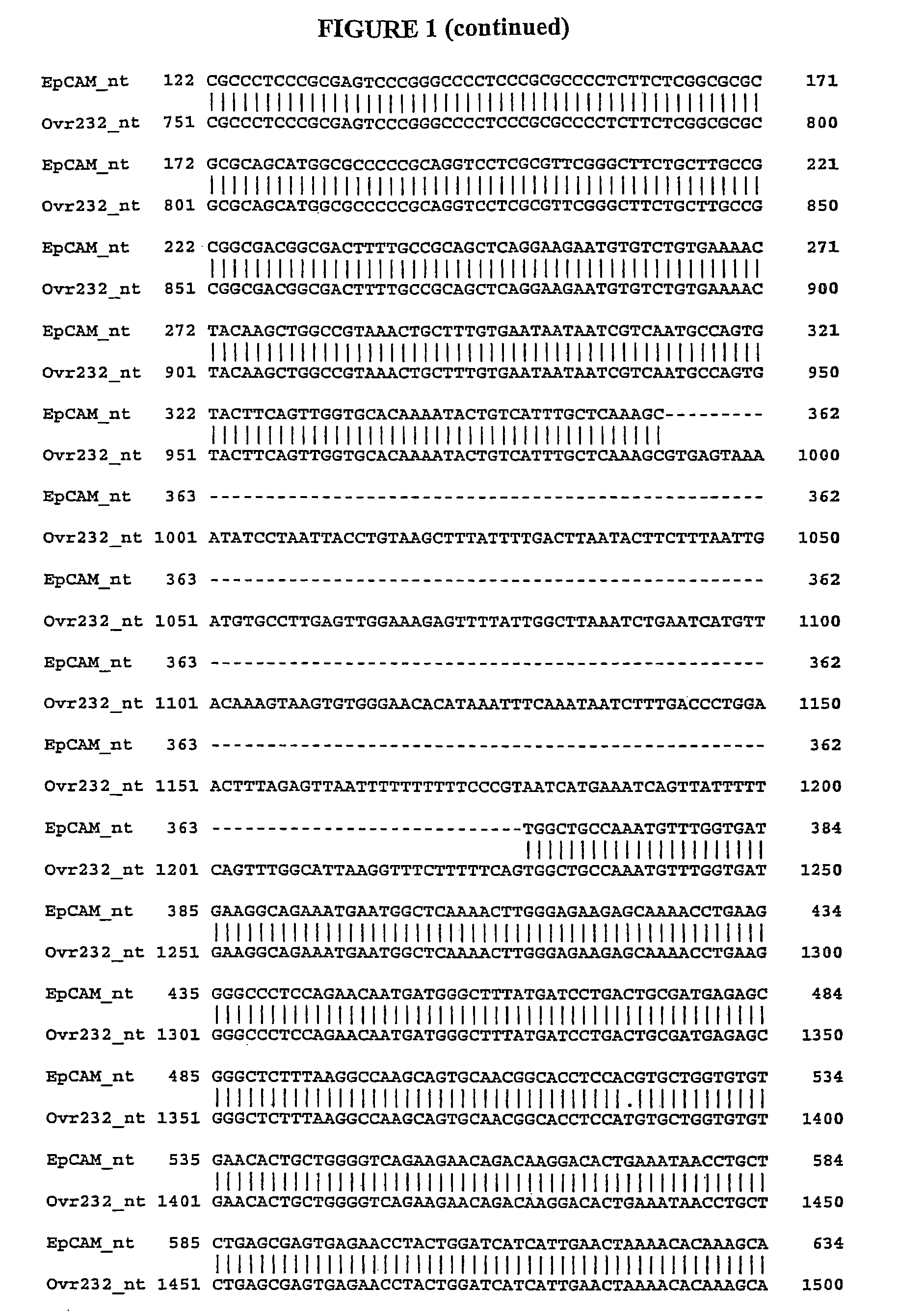 Compositions, splice variants and methods relating to ovarian specific genes and proteins