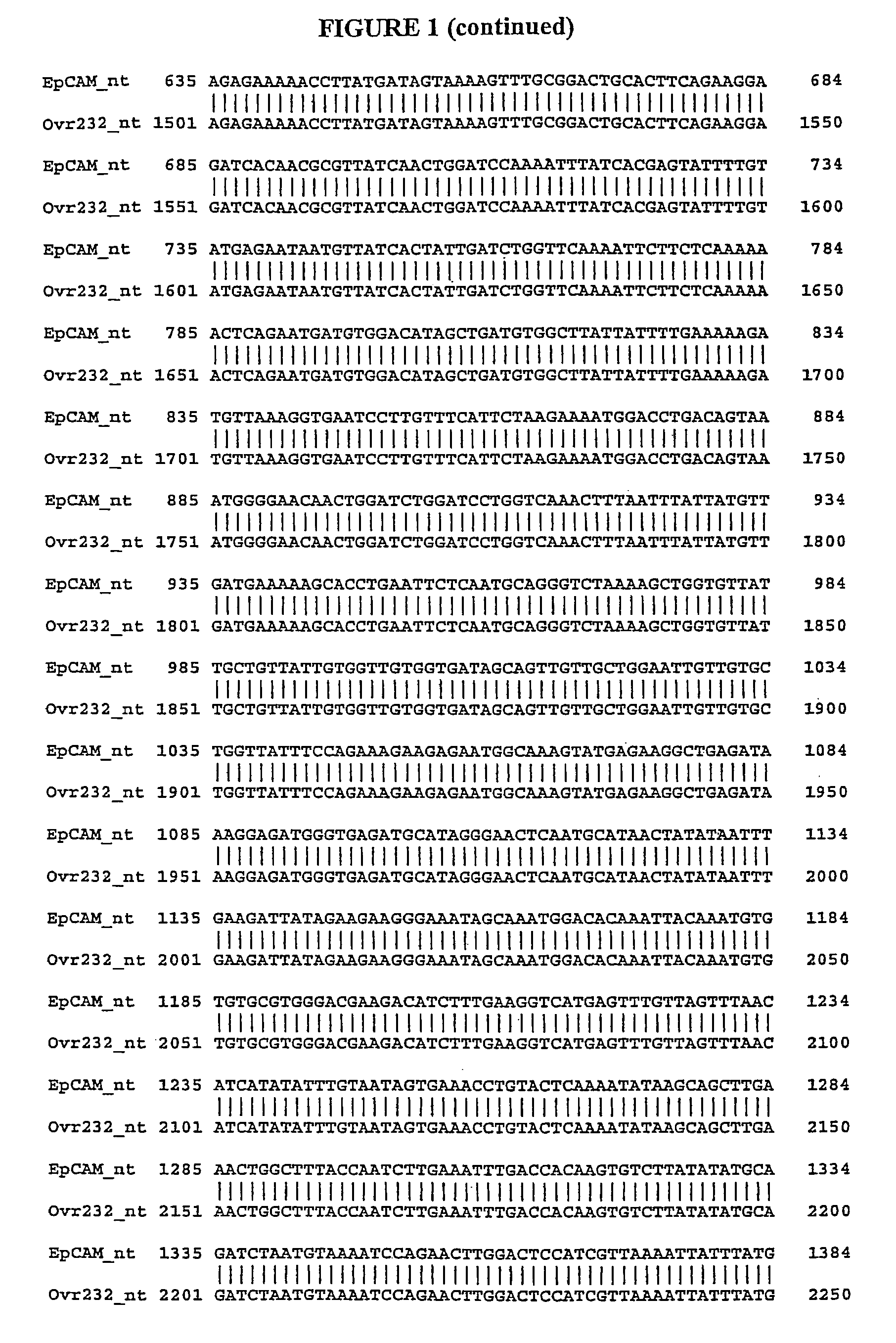 Compositions, splice variants and methods relating to ovarian specific genes and proteins