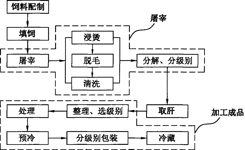 Forced-feeding method for improving developing quality of goose liver, used feed and forced-feeding machine