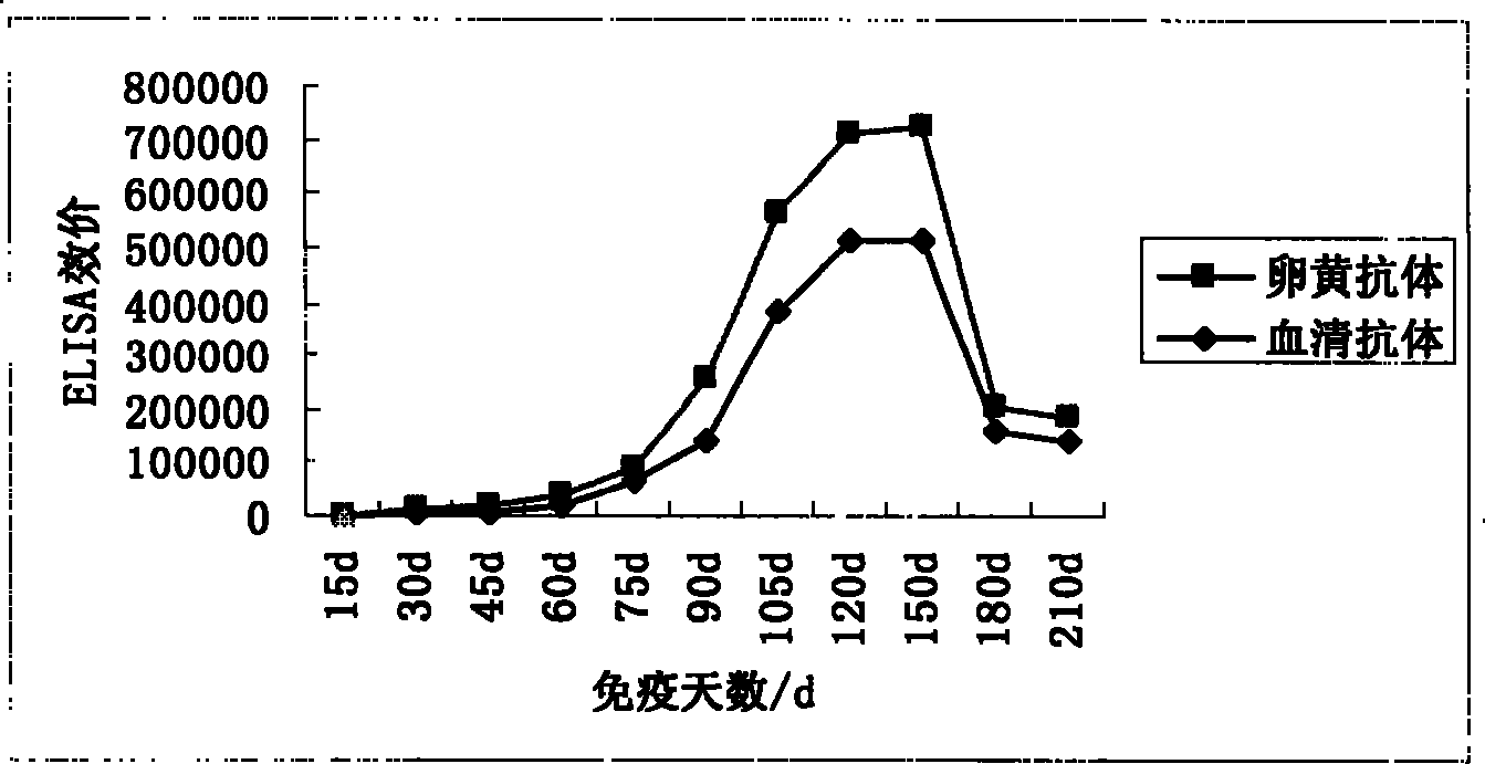 Yelk immune globulin products for preventing and treating bainite cryptosporidiosis and application thereof