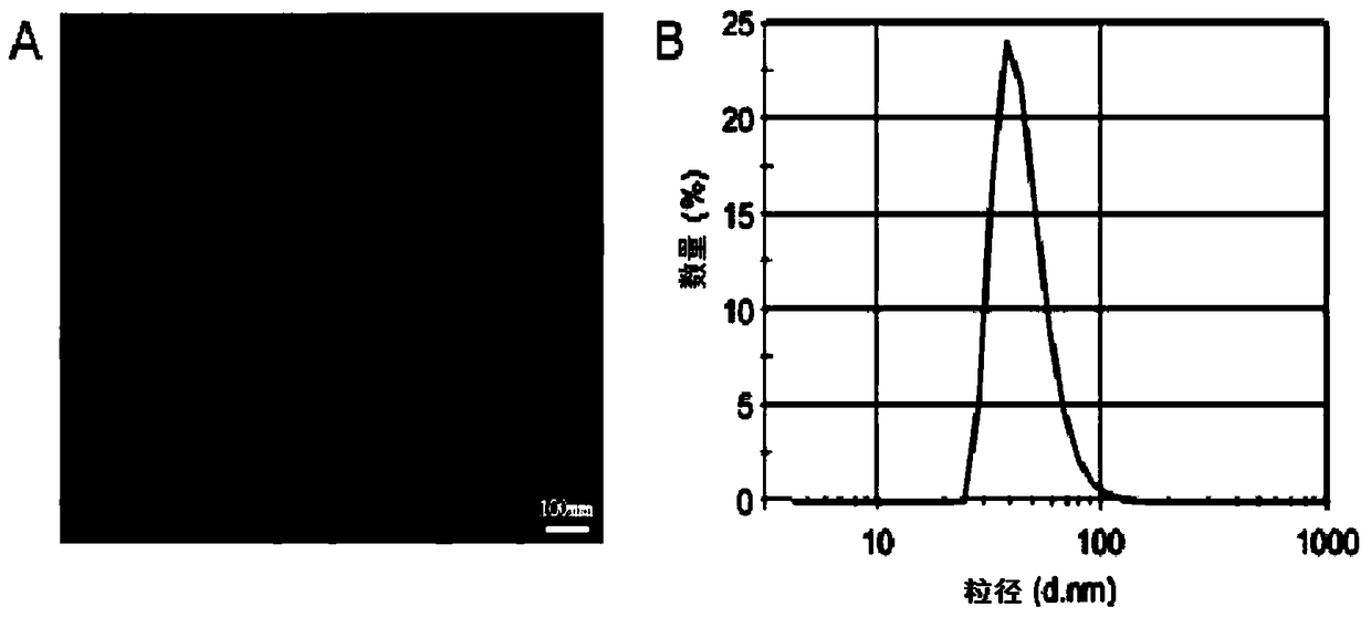 Targeted nano magnetic resonance contrast agent for brain epileptic focus and its preparation and application