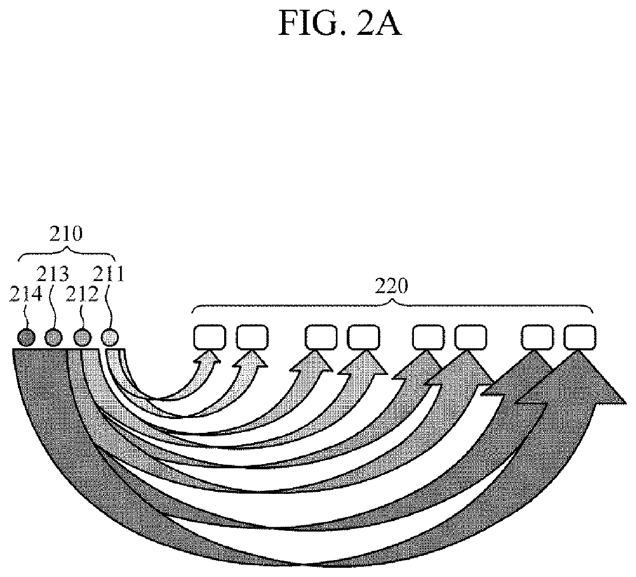 Apparatus and method for measuring biological component