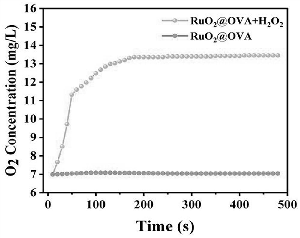 Preparation and application of a ruthenium dioxide composite ovalbumin nanomaterial