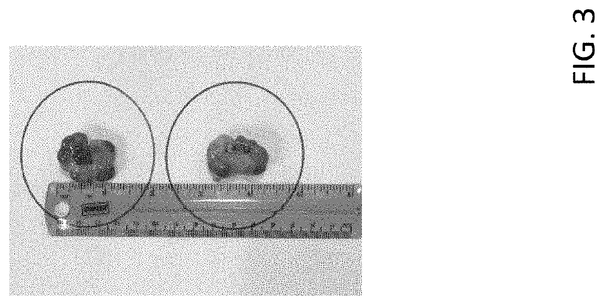 Pheromone compositions for stimulating early onset of estrus and reducing labor needs in breeding peri-pubertal suids and methods of use