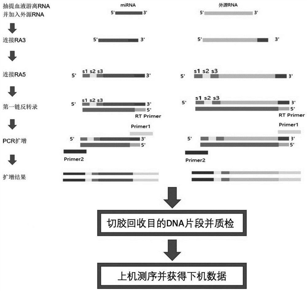 Method and kit for preparing library of free miRNAs in blood and quantitatively expressing free miRNAs