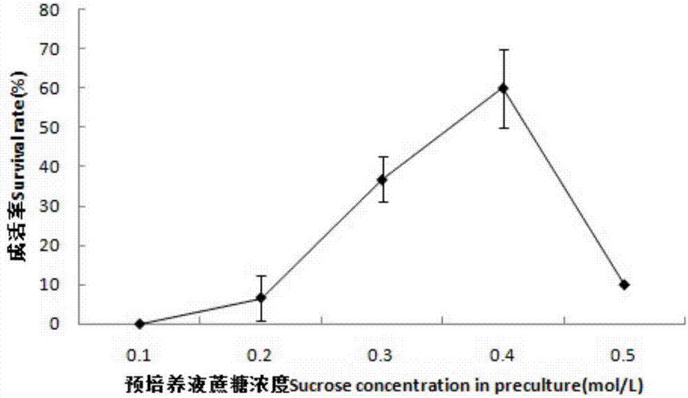 Ultra-low temperature storage method for shoot tips of euonymus bungeanus