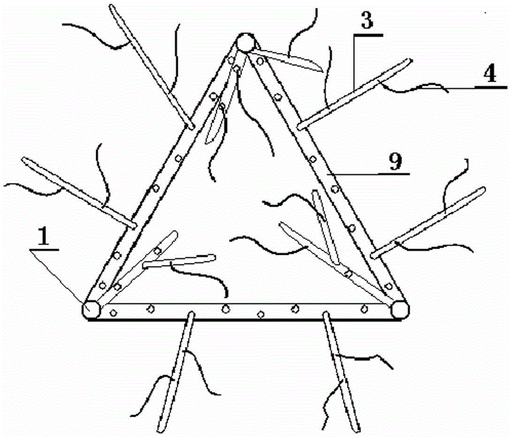 A multifunctional shaping device for horticultural bonsai modeling