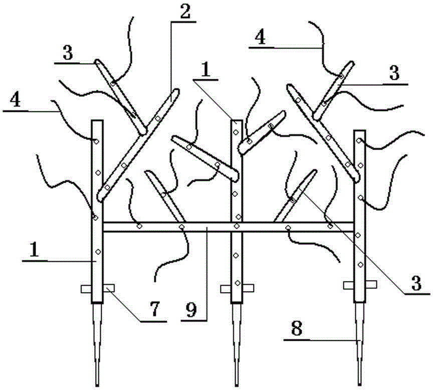 A multifunctional shaping device for horticultural bonsai modeling