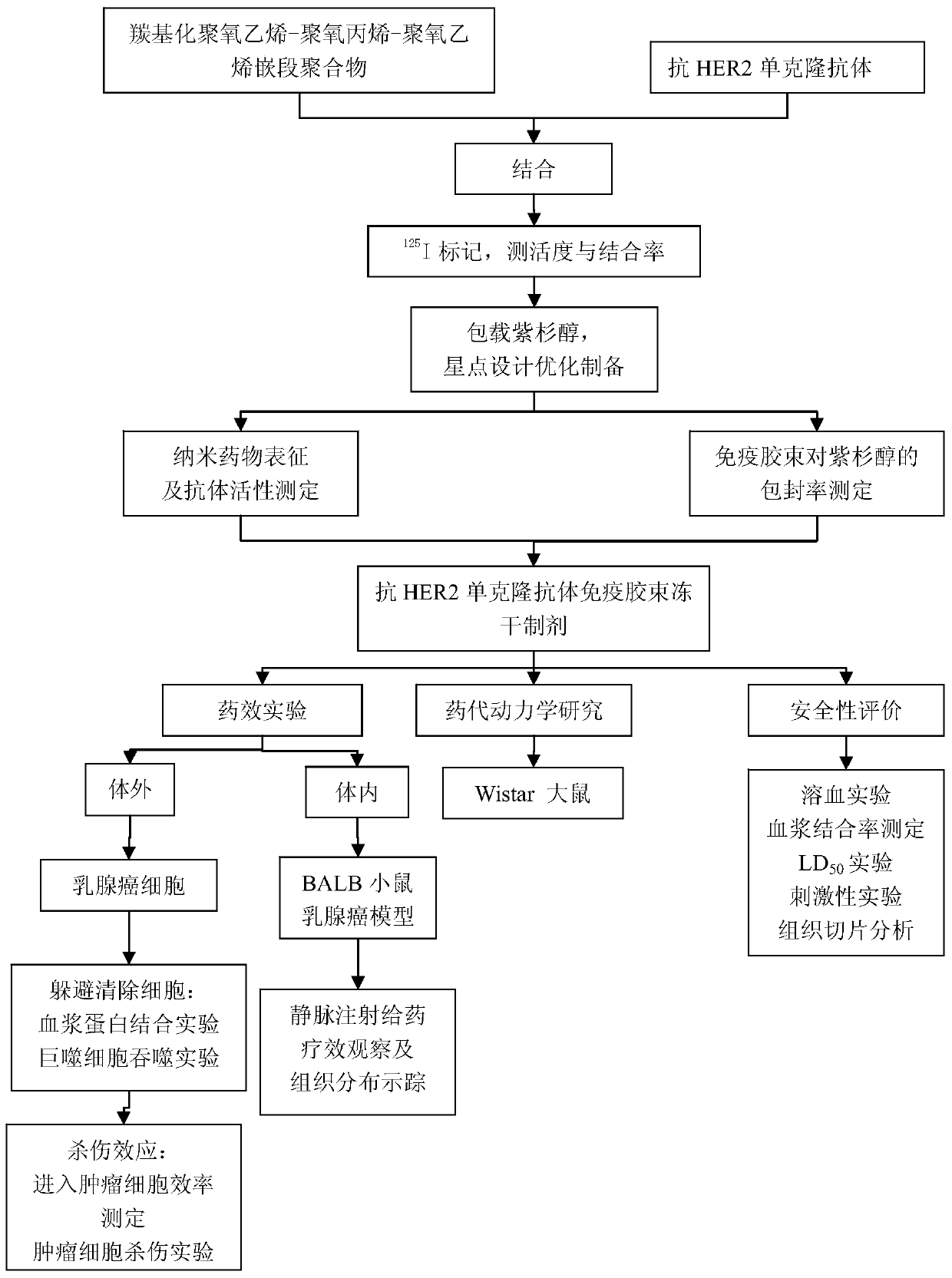 Anti-human epidermal growth factor receptor 2 monoclonal antibody combined with nanomicelle and its preparation and application