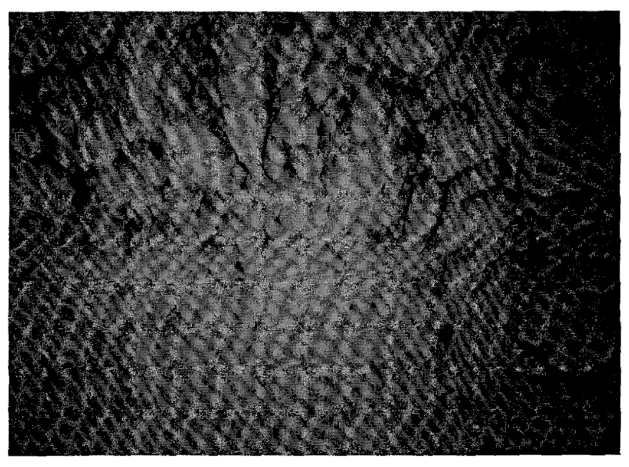 Method for synthesizing graphene film material