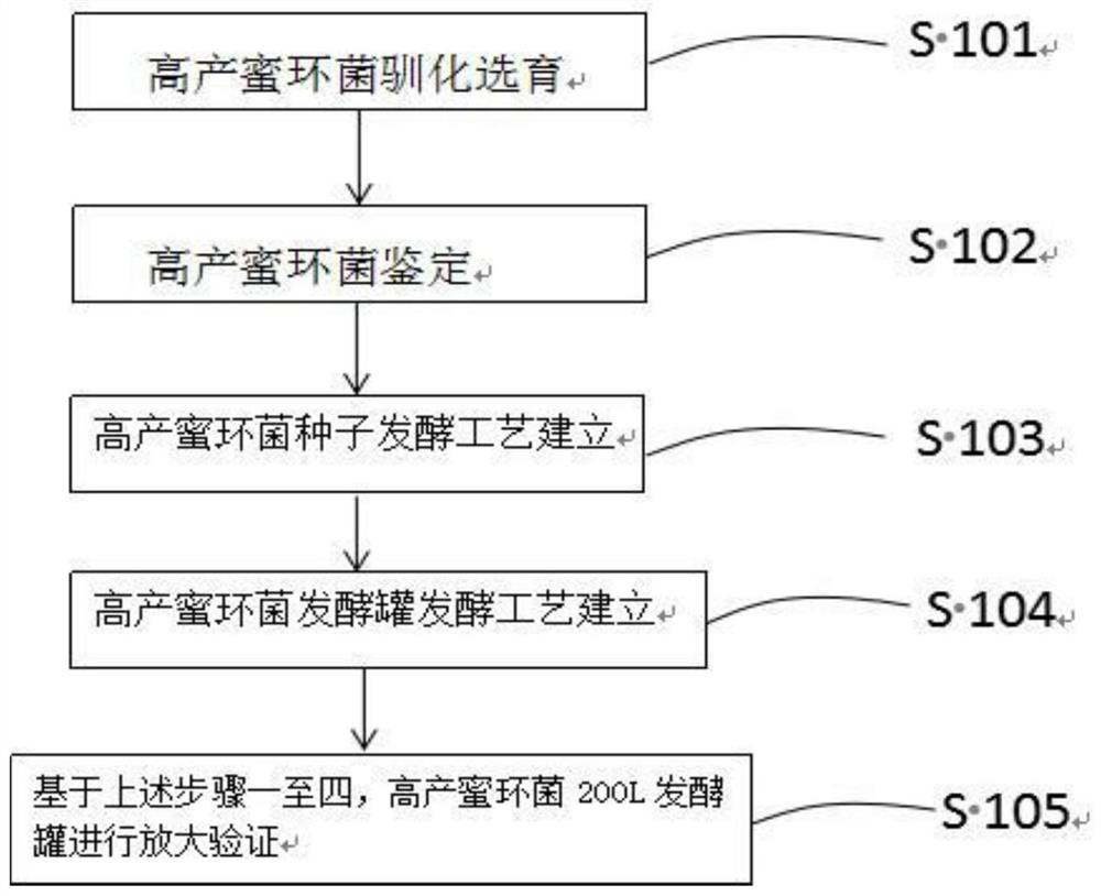 A liquid submerged fermentation process for high-yielding Armillaria armillaria