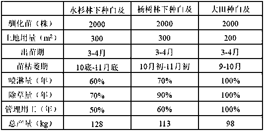 Technology for efficiently planting bletilla striata (Thunb.) Rchb. F. under metasequoia forest