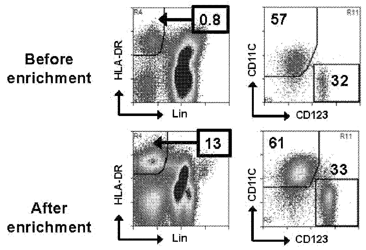 Compounds for targeted immunotherapy