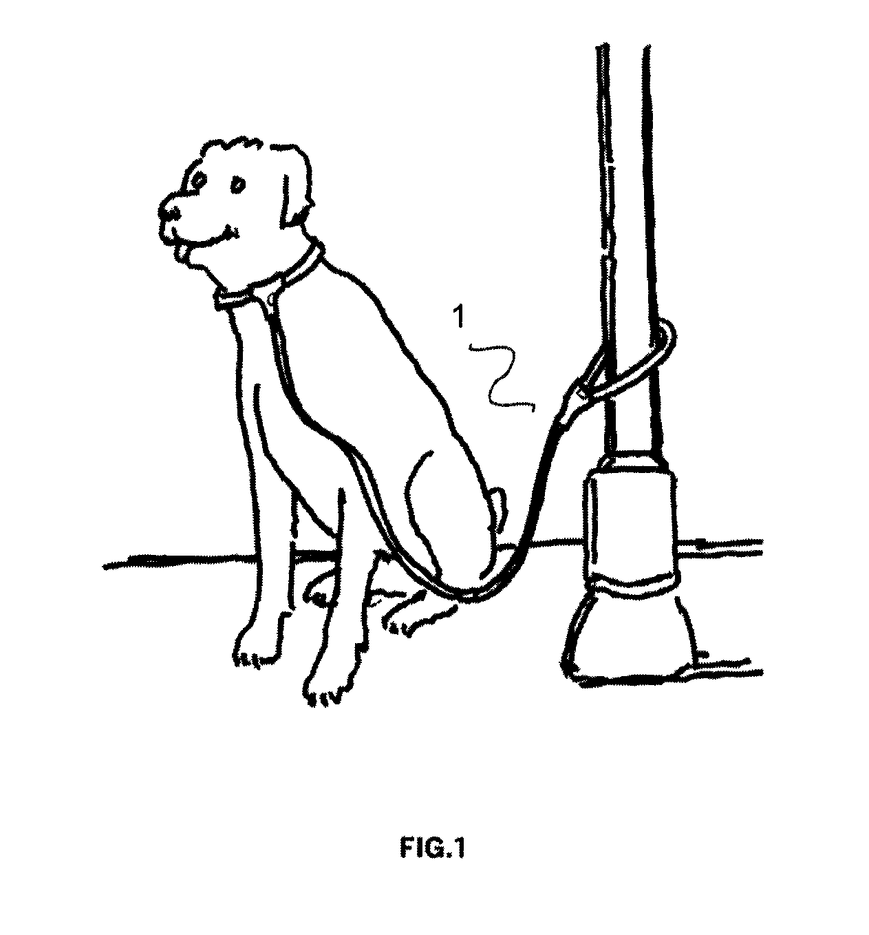 Locking pet lead system comprising a leash and collar to prevent the theft of pets