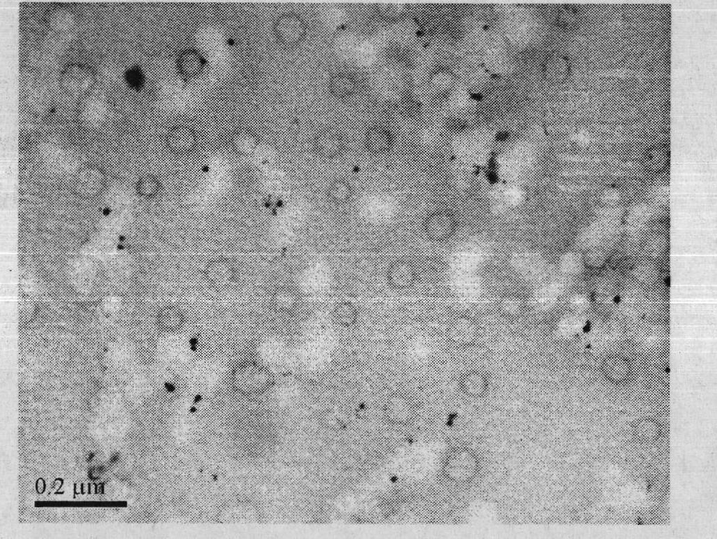 Preparation method of nano silver antibacterial mother liquor through two-step polymerization