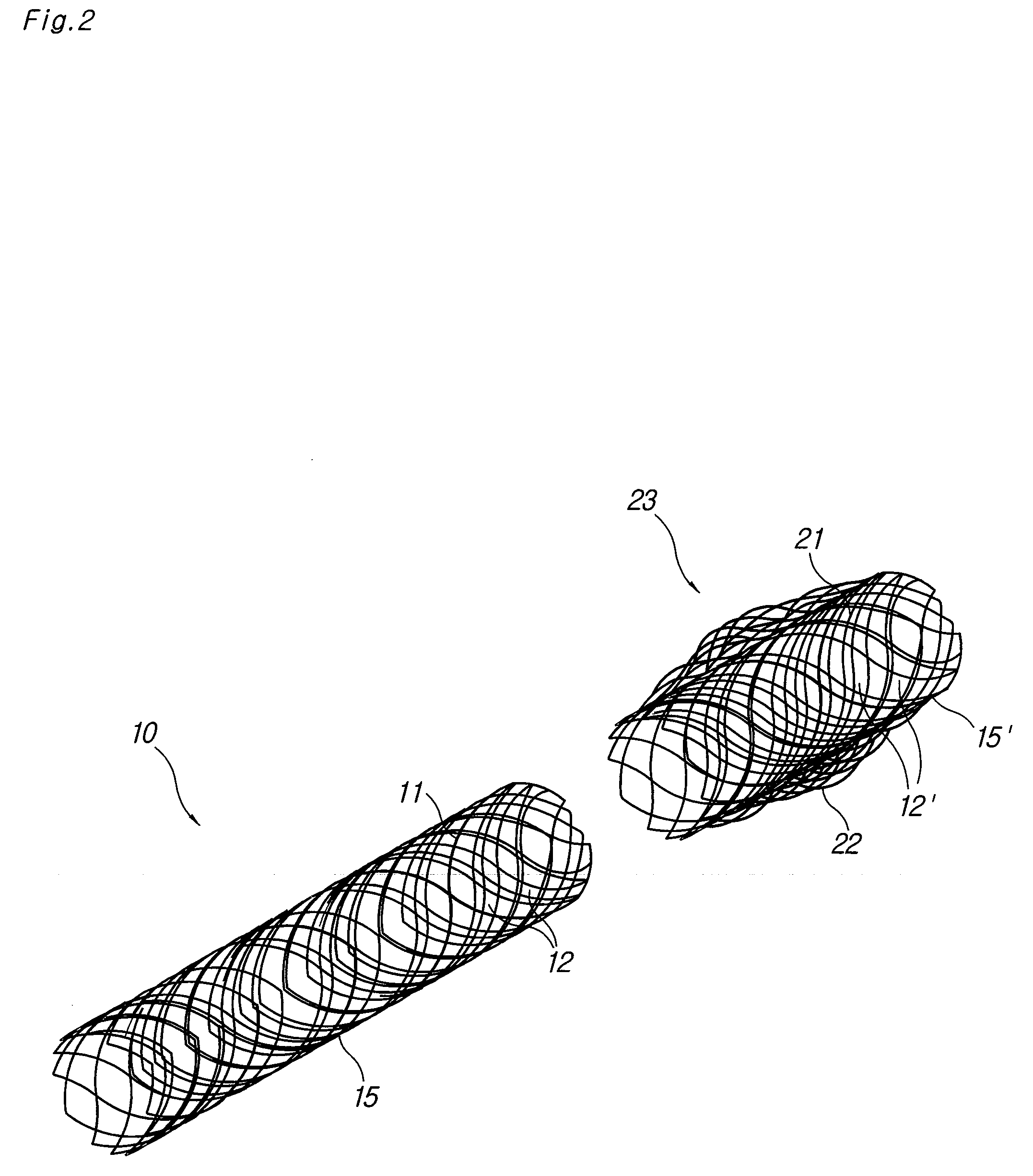 Biodegradable double stent