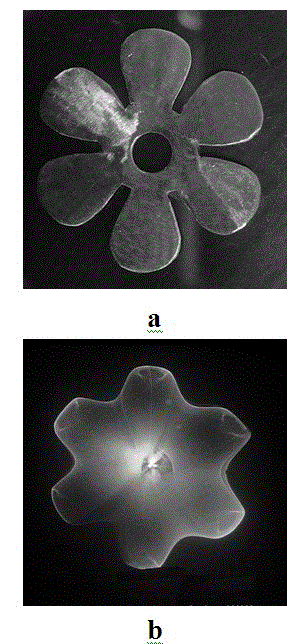 Double-electrode structure field emission luminous tube capable of regulating and controlling luminous patterns