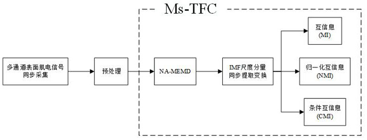 Multi-scale time-frequency intermuscular coupling analysis method