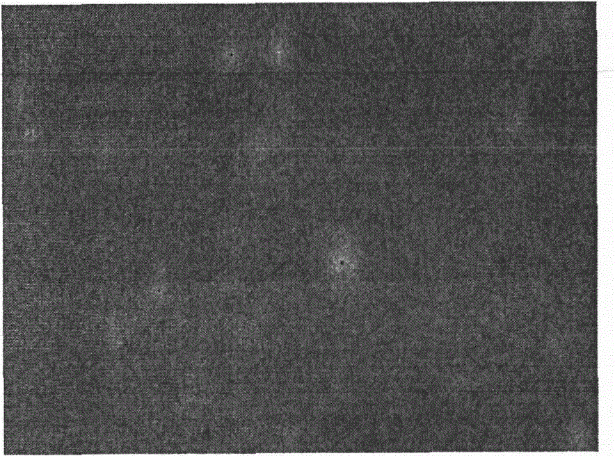 A Feature Quantification Method for Strong Light Source Interfering Low-light System Imaging