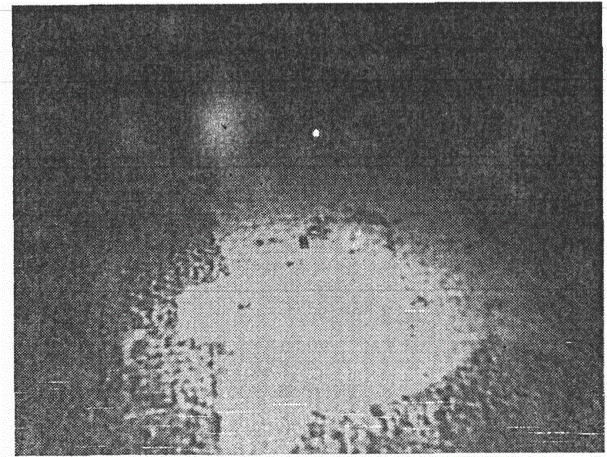 A Feature Quantification Method for Strong Light Source Interfering Low-light System Imaging