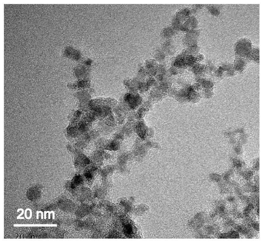 Preparation method and application of carbon nanodots with efficient antibacterial properties