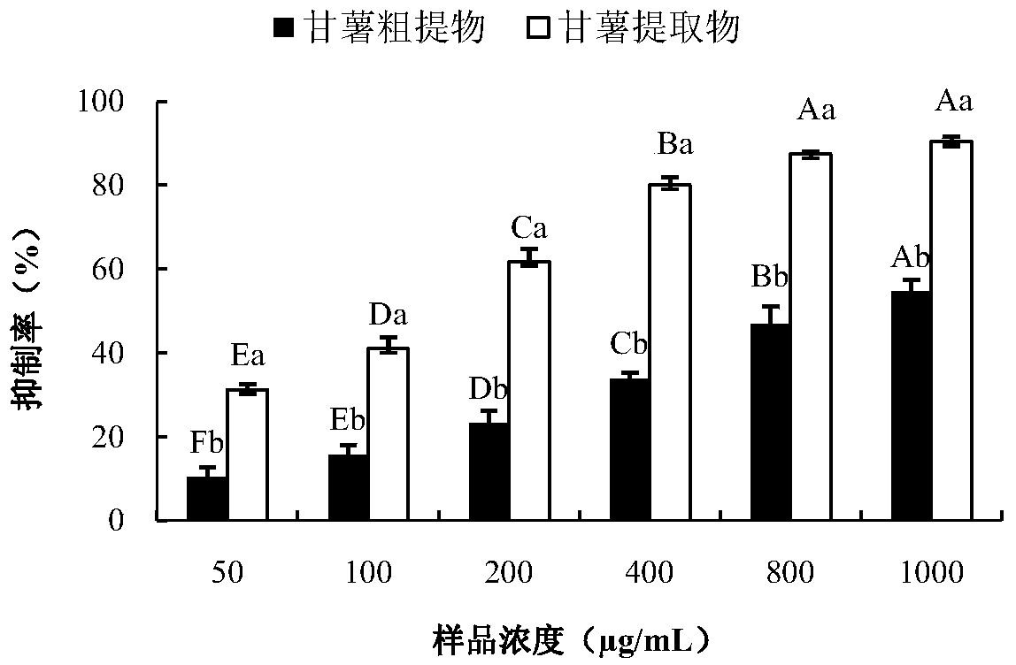 Sweet potato extract and its preparation method and application