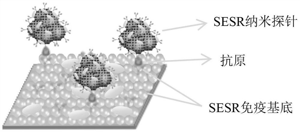 Ultra-sensitive biochip based on surface enhanced Raman scattering and preparation method thereof