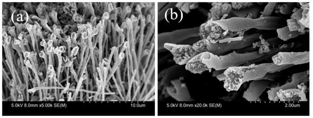 Multilayer egg roll-shaped composite superhard phase C3N4 nanotube and preparation method thereof