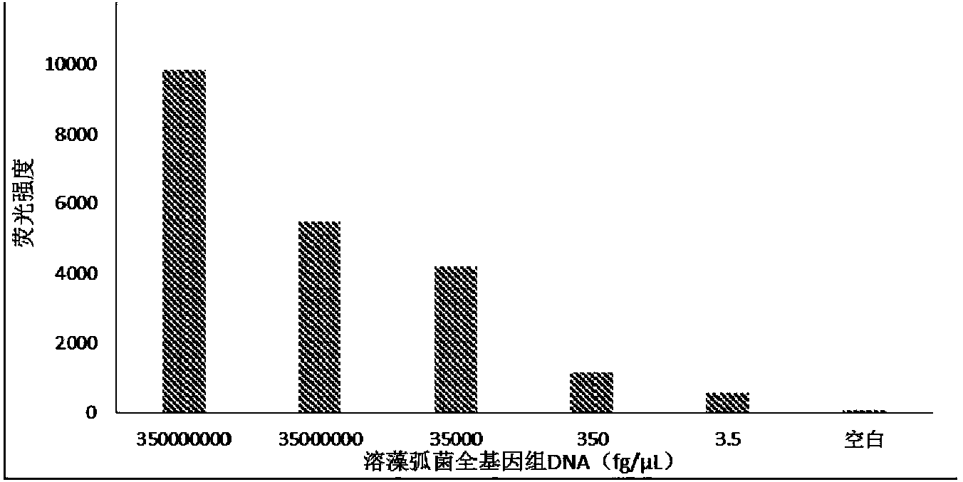 Gene chip capable of simultaneously detecting various vibrios and method for detecting vibrios