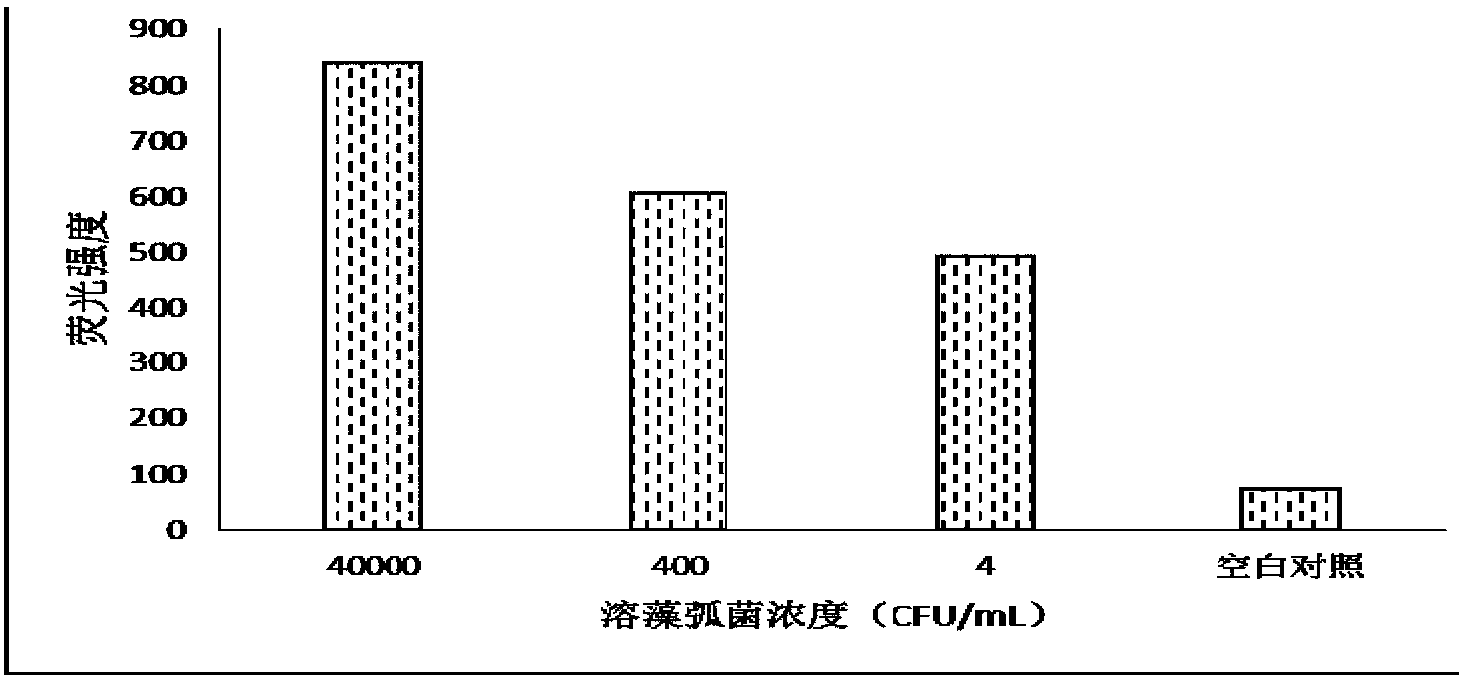 Gene chip capable of simultaneously detecting various vibrios and method for detecting vibrios