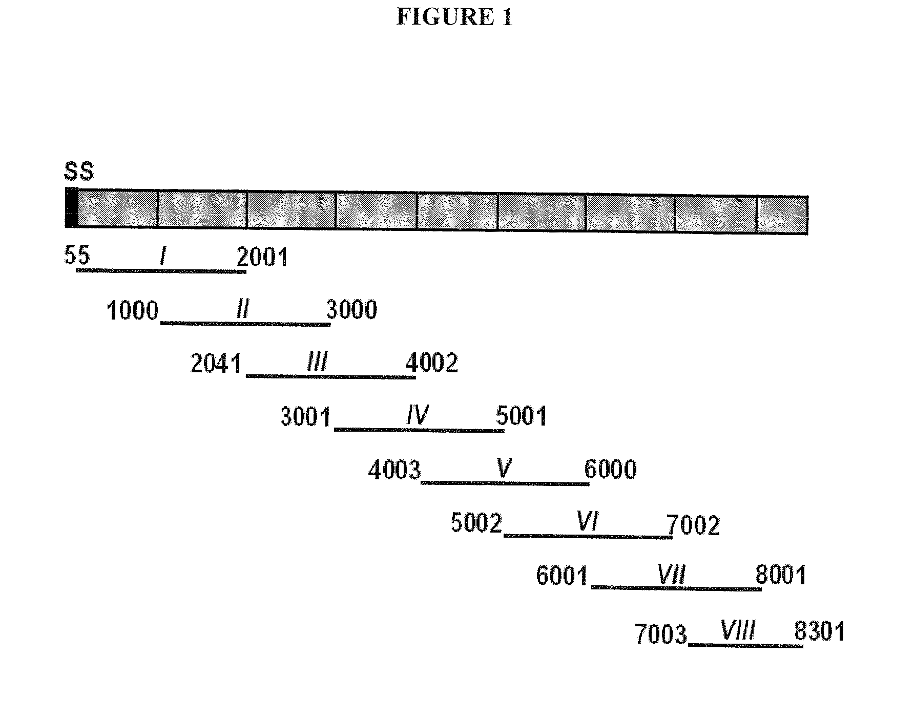 Binding domain of plasmodium reticulocyte binding proteins