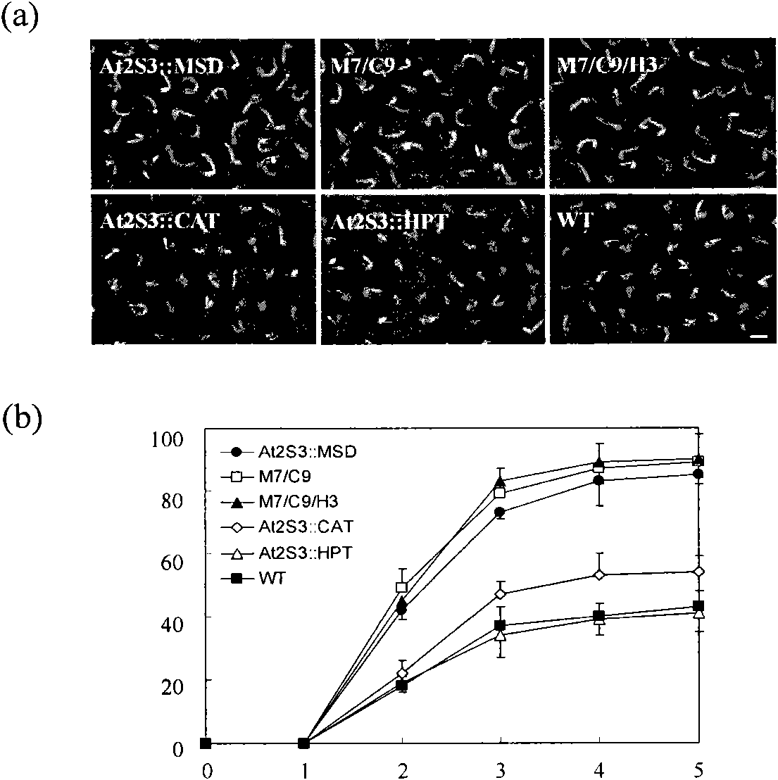 Method for improving antioxidant capacity and quality of seeds