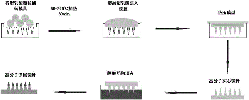 Polymer coating microneedle patch convenient for antibiotic skin testing and preparation method thereof