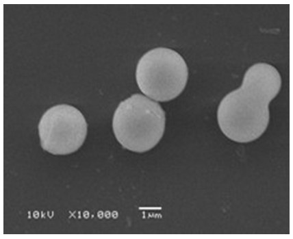 Synthesizing method for organic silicon micro-balls with performances of super hydrophobicity and high temperature resistant
