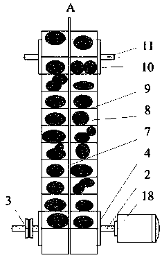 Automatic two-stage red date feeding device