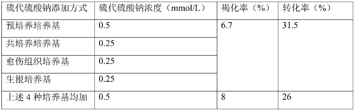 Method for reducing browning and improving genetic transformation rate of agrobacterium-mediated castor