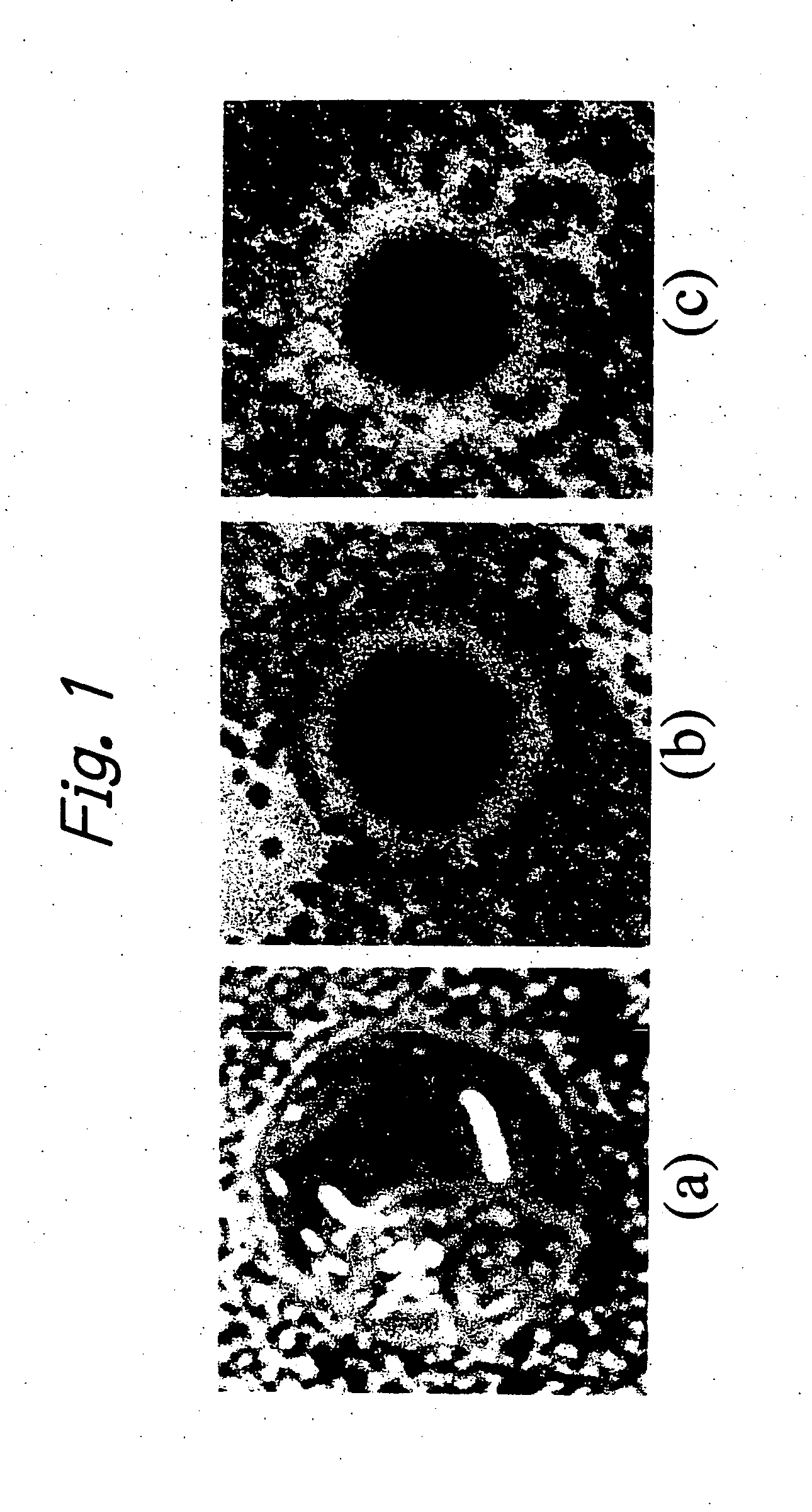 Process for producing chitin derivatives and/or chitosan derivatives having a crosslinked structure