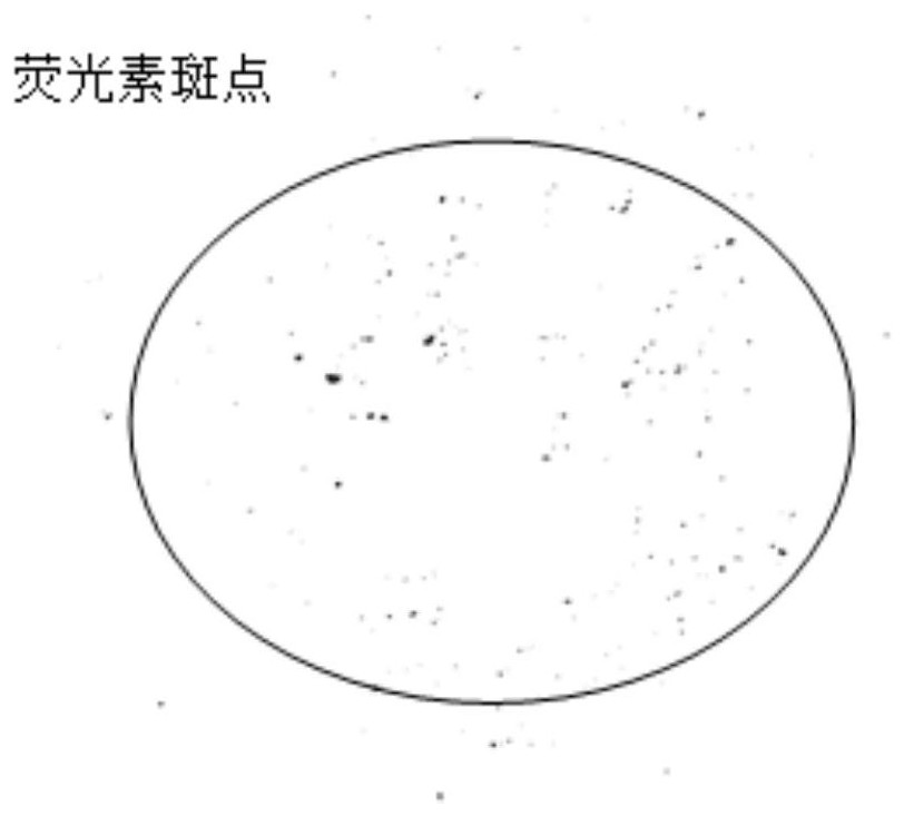 Method for testing retention time of materials in cement mill based on image recognition technology