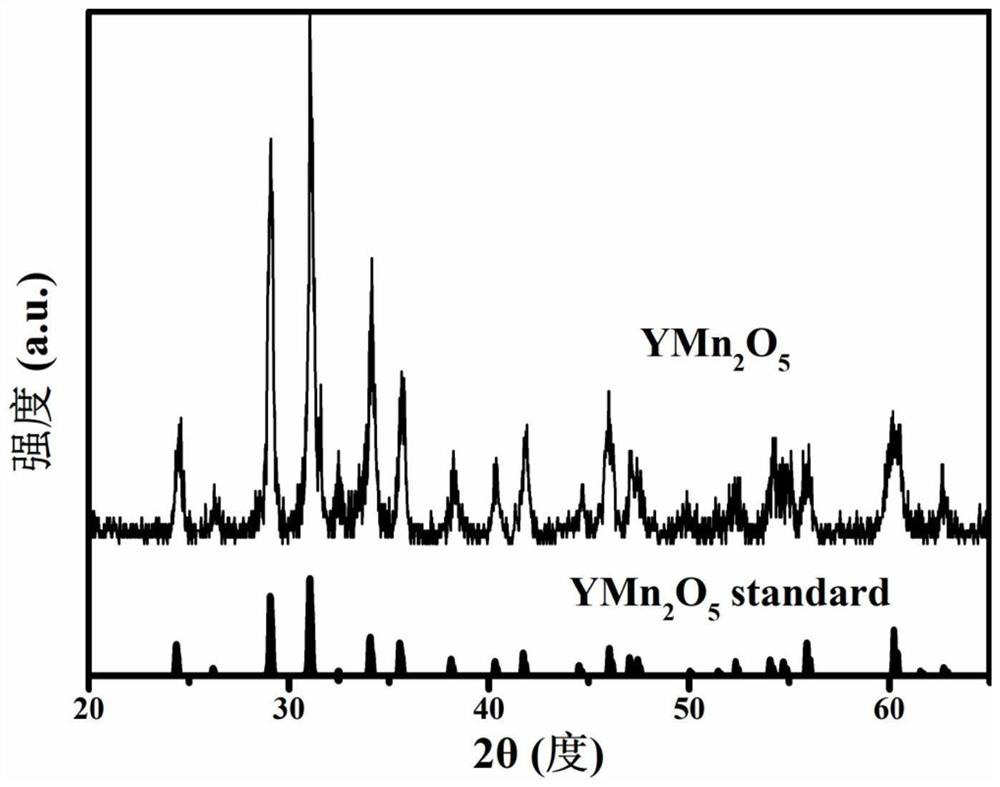 Application of compound with general formula AM2O5-x in catalyzing hydrogen peroxide at room temperature