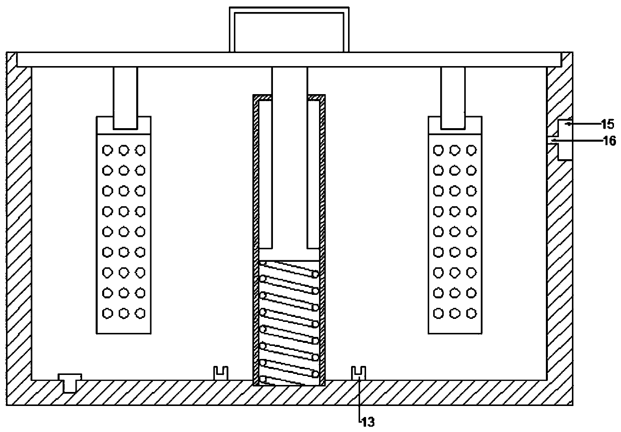 Reagent pipe storage device for biological preparation