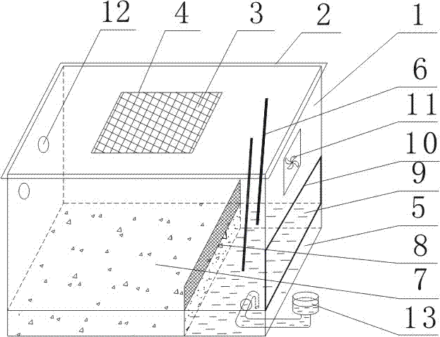 Springtail feeding device